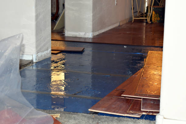 Professional Sewage Cleanup technician working in Saint Albans, ME